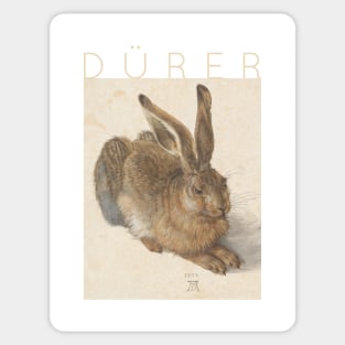 Albrecht Dürer - Young Hare Sticker